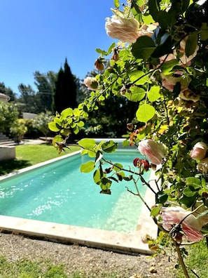 Piscine et jardin.
