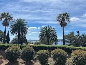 Vista desde la propiedad