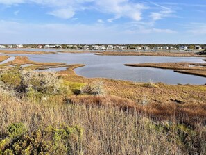 View from the back deck