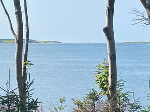 Sekalaista