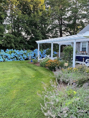 Backyard View - Seating Area for 5 under pergola, surrounded by perennial garden