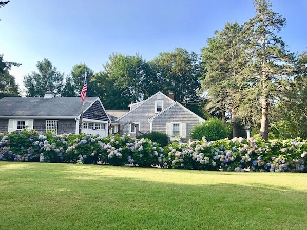 Side House View 1, Hydrangea Lined Driveway