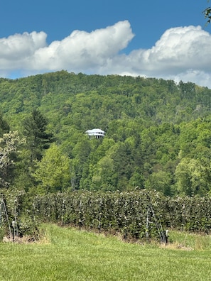 The Estate location view from across the valley.
