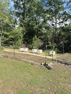 Bees at work on property