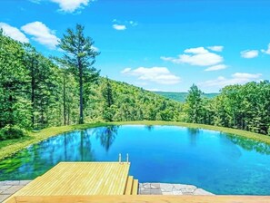 Swimming Platform, w/ ladder- easy access to the beautiful clear spring fed pond