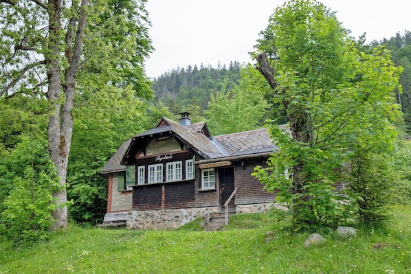 Exteriör