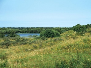 De Deelen nature reserve