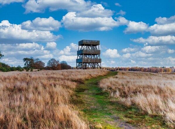 Drents-Friese Wold nature reserve