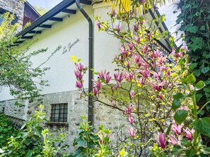 Außendetails