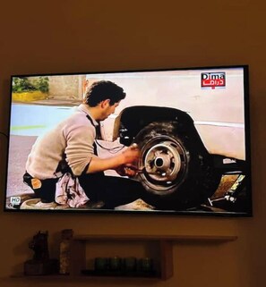 Fernseher