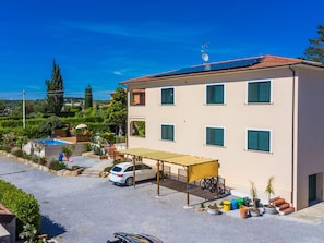 Appartement, Balcon, Plante D'Appartement