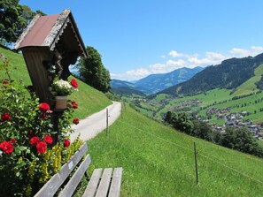 Bergforms, HĂŒgel, Hochland, Landschaft, Bergstation, Senke, Gebirge, LĂ€ndliches Gebiet, FrĂŒhling