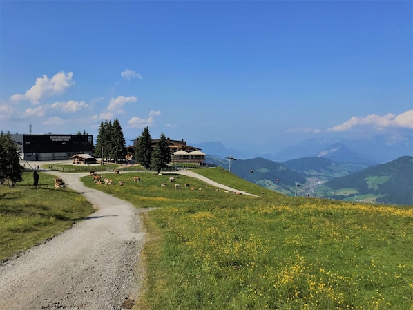 Herbe, Montagnes Relief, Colline, Prairie, Montagnes, Paysage, Plaine, Station De Montagne, Lot Terre, Chaîne De Montagnes