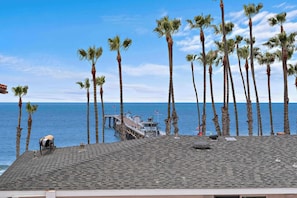 The view is full of palm trees and a vast horizon. Gentle ocean breezes and the sounds of waves will remind you just how close you are to the pier and the beach.