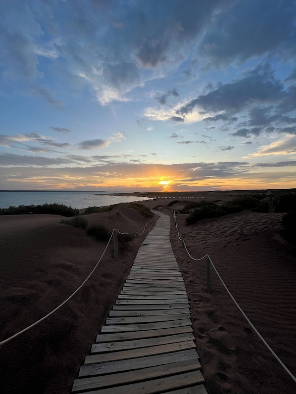Strand