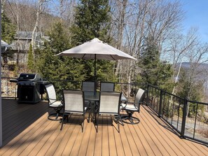 Outdoor Dinning and Grill 