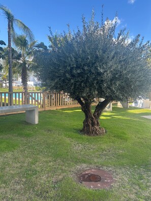 Property grounds