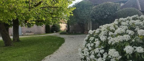 Property grounds