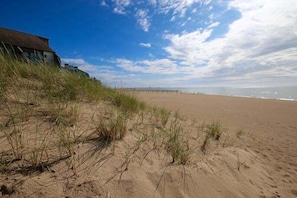 Playa