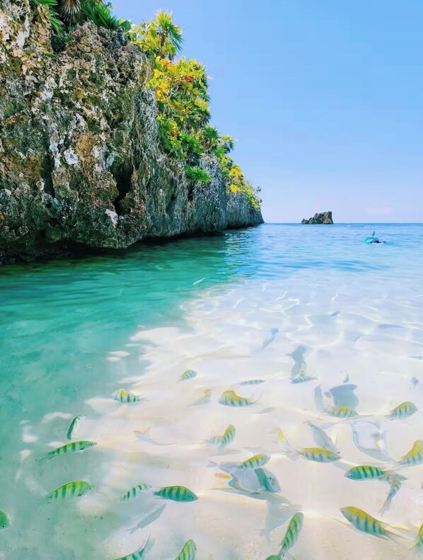 Strand