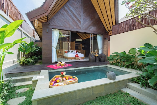 Swimming Pool & Property