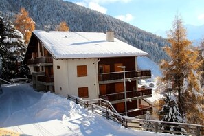 Ulkopuoli