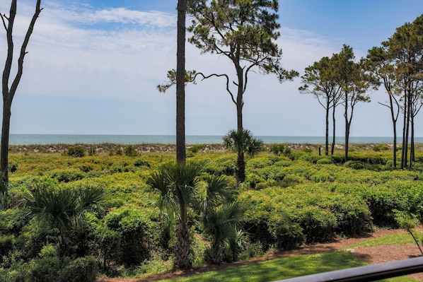 View from property
