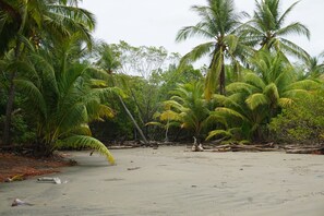 Spiaggia