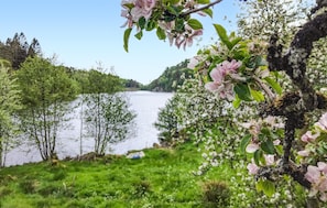 Boendeområde