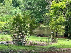 View of the pond