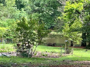 View of the pond