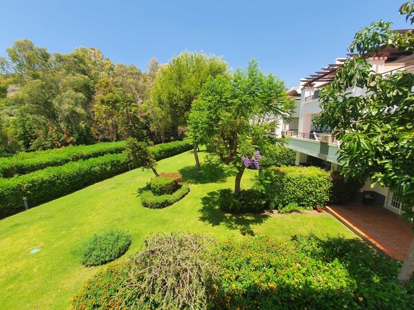 Terrace views