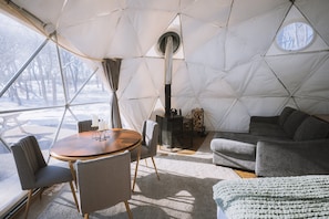 Cozy Fold out Couch