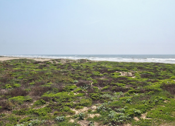 Strand