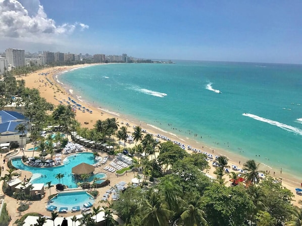view