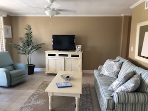 Living Room with TV and DVD Player