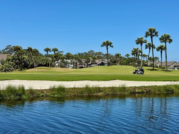 Looking across the animal filled lagoon on to the fairway.