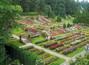 International Rose Test Garden