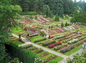 International Rose Test Garden