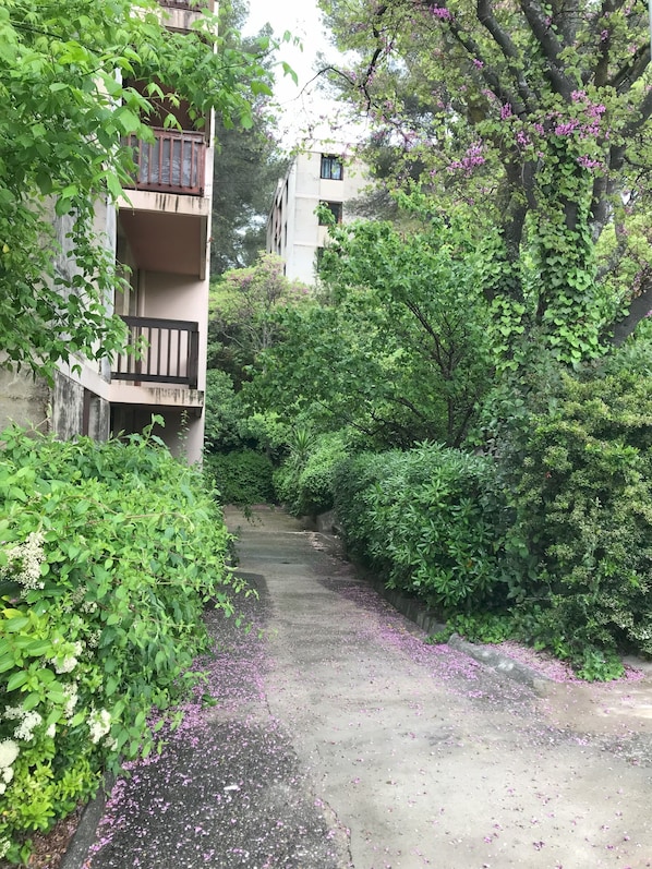 Boendeområde