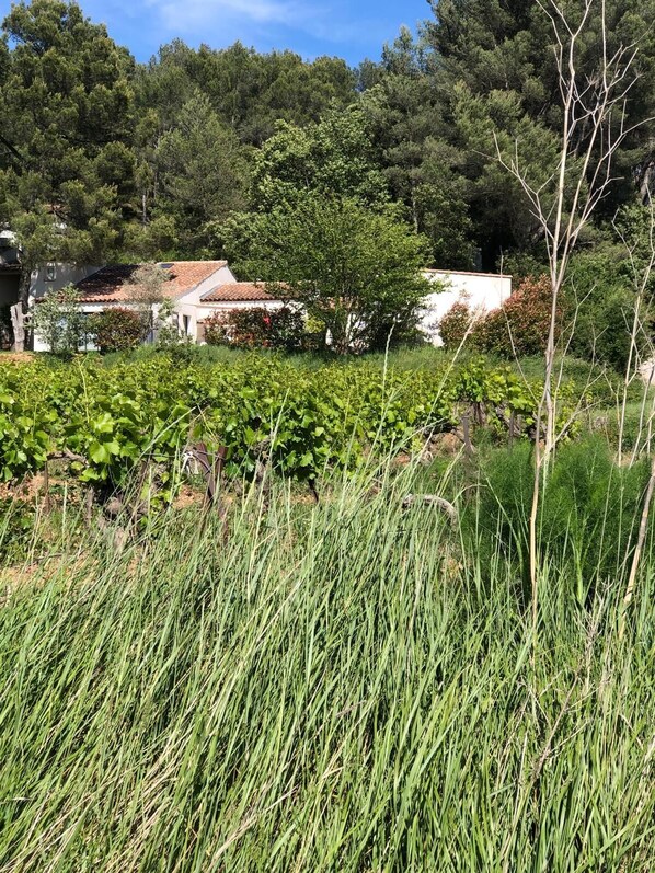 Property grounds