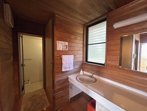 [Renovation scheduled for late June] Sink. Shower room. Toilet.