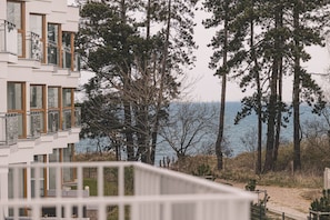 Apartment view over pines and dunes – the beach is just around the corner, only 100 meters from Let’s Sea Gąski.