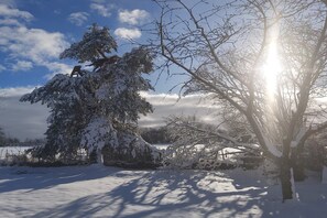 Garden [winter]