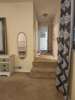 Master Bedroom #1 - King