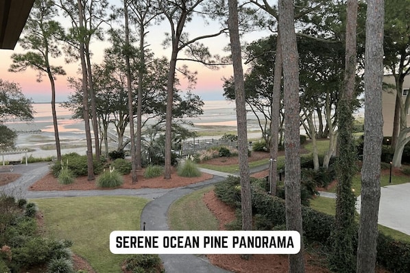 Actual views during the sunset. Adjacent to the pool as well.