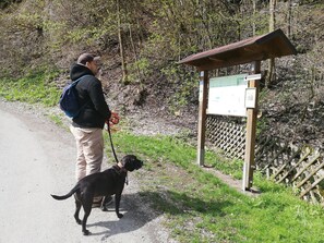 Pet-friendly