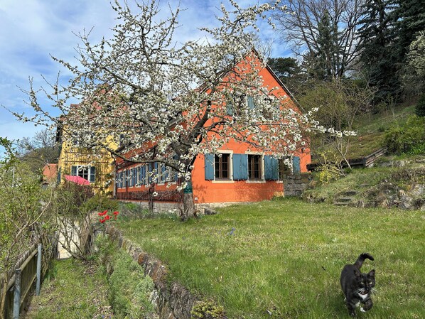 Extérieur