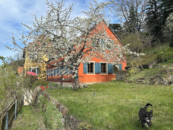 Blick vom Garten