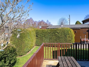 Strauch, Hecke, Garten, Zaun, Home Fechten, Landscaping, Hinterhof, Rasen, Garten, Schatten